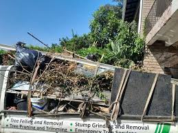 Best Construction Debris Removal  in Pegram, TN