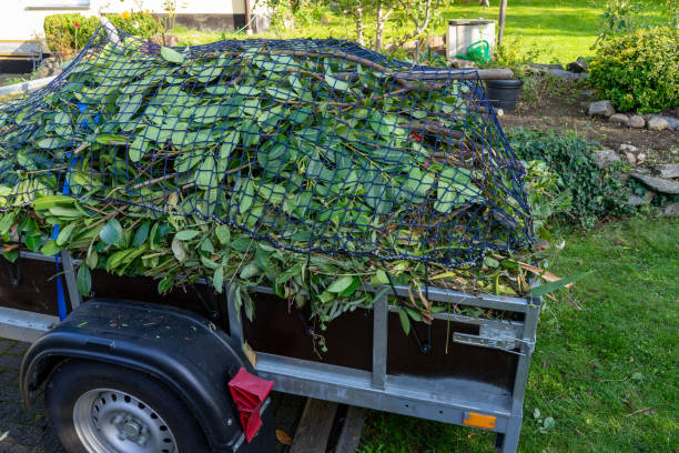 Best Shed Removal  in Pegram, TN